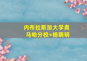 内布拉斯加大学奥马哈分校 杨晓明